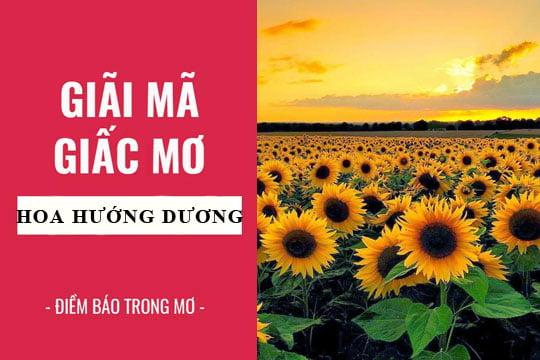 Nằm Mơ Thấy Bị Mẻ Răng Chảy Máu Đánh Con Gì?