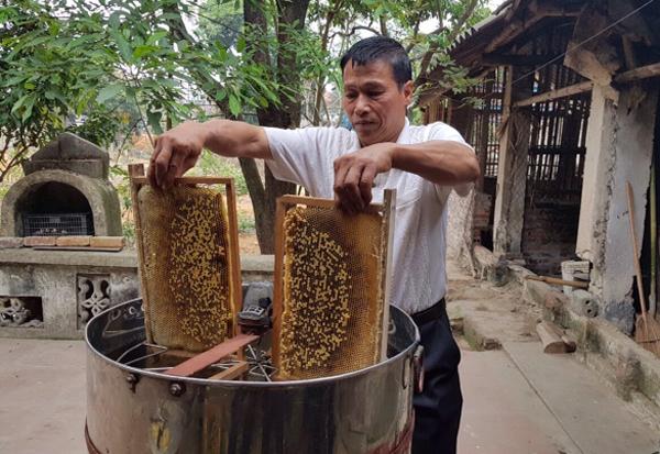 Giải Mã Giấc Mơ Thu Phương Đêm Nằm Mơ Phố