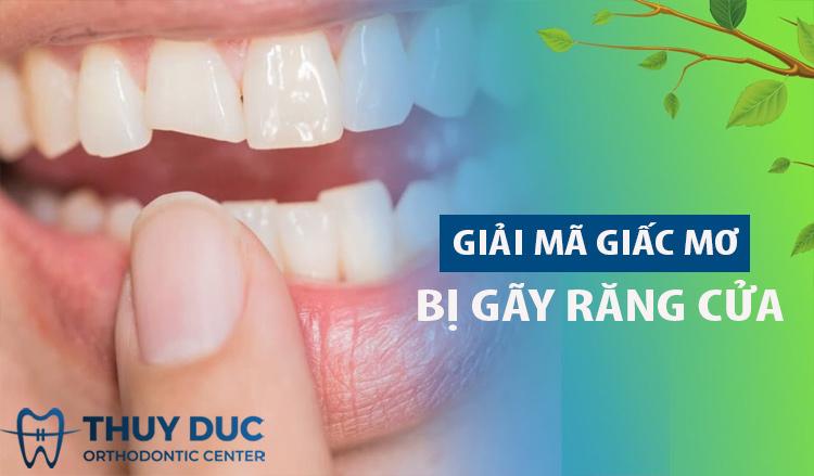 Nằm Mơ Thấy Mèo Bắt Chuột Đánh Con Gì?