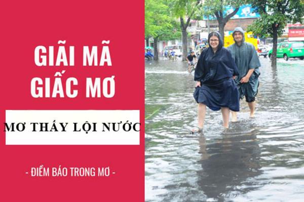 Giải Mã Giấc Mơ Câu Cá Trê Và Những Con Số May Mắn