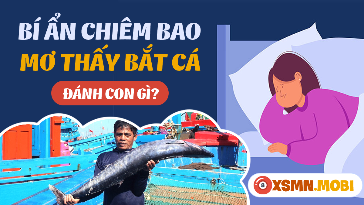 Nằm Mơ Thấy Bò Cạp Đánh Số Mấy? Giải Mã Chi Tiết