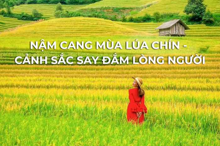 Nằm Mơ Thấy Người Khác Giết Người Đánh Con Gì?
