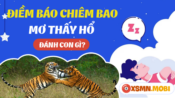 Nằm Mơ Thấy Có Bầu: Hẹn Hay Xui, Giải Mã Số Đề