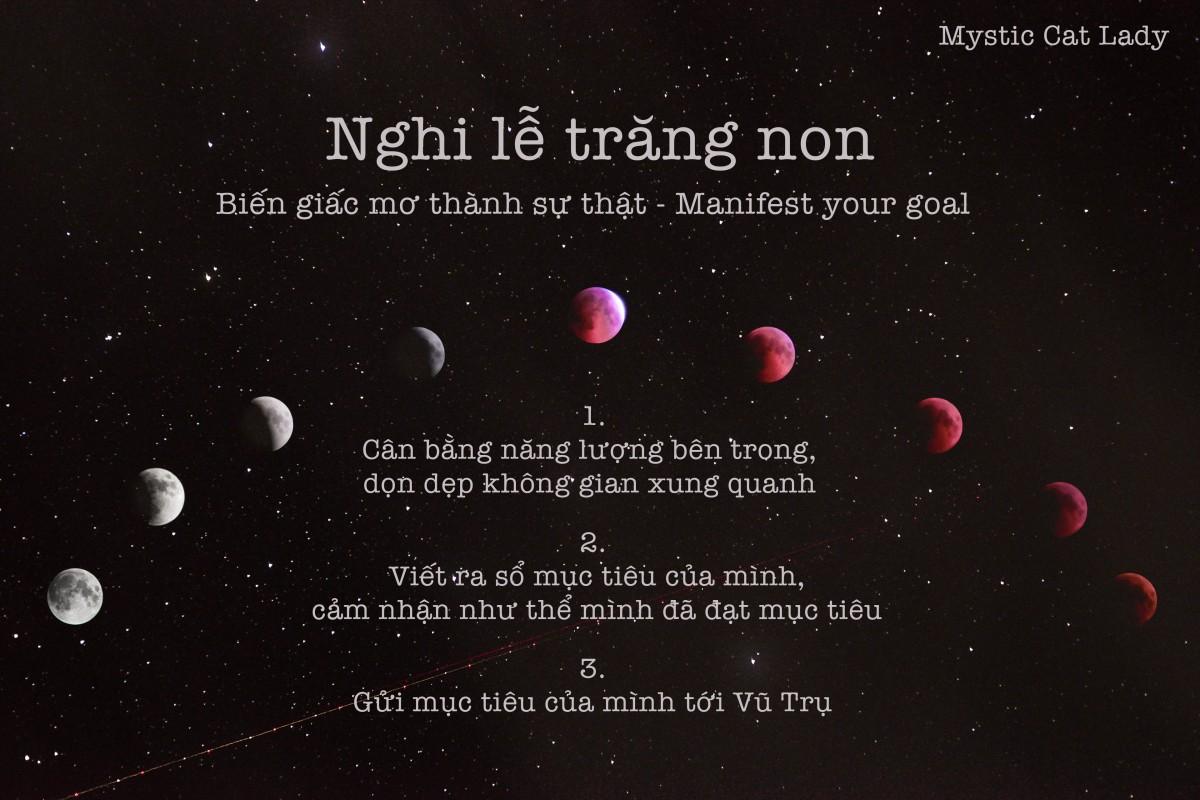 Giải Mã Giấc Mơ Thấy Cá Chết Và Con Số May Mắn