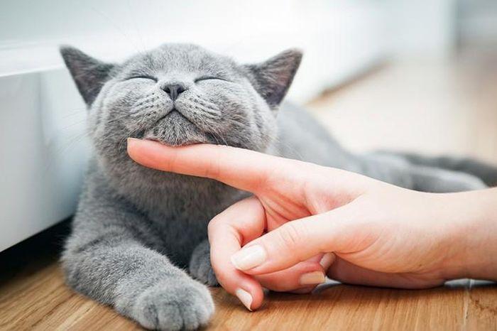 Giải Mã Giấc Mơ Thấy Dép Và Những Con Số Liên Quan