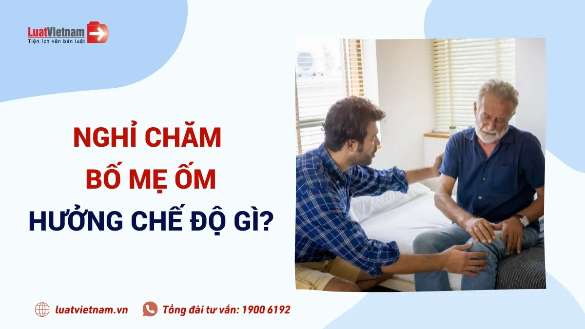 Giải Mã Giấc Mơ Thấy Rất Nhiều Mèo Con Và Số Đề Liên Quan