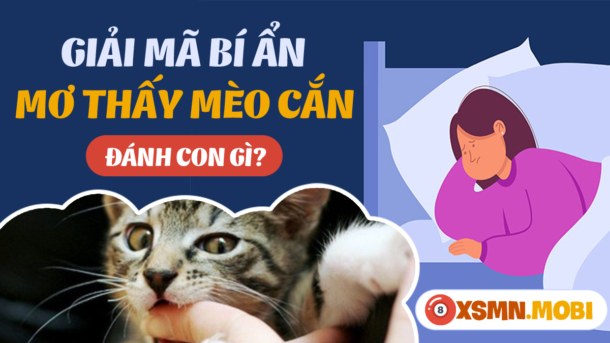 Bà Bầu Nằm Mơ Thấy Mèo: Giải Mã Số Đề Chính Xác