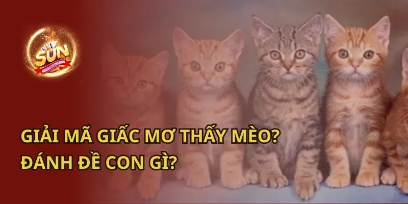 Giải Mã Giấc Mơ Thấy Rất Nhiều Mèo Con Và Số Đề Liên Quan