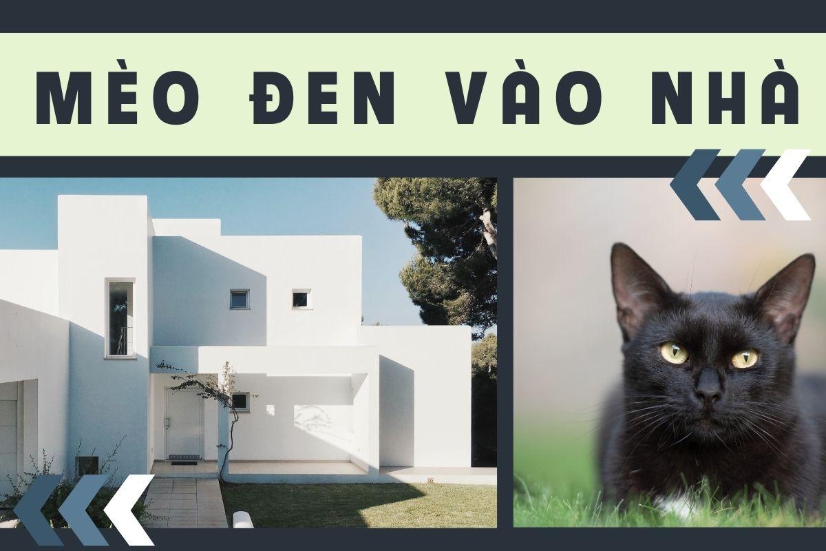 Giải Mã Giấc Mơ Thấy Rất Nhiều Mèo Con Và Số Đề Liên Quan