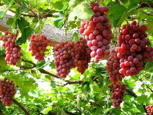 Nằm Mơ Thấy Tượng Mẹ Quan Âm Bị Vỡ: Điềm Báo Gì?