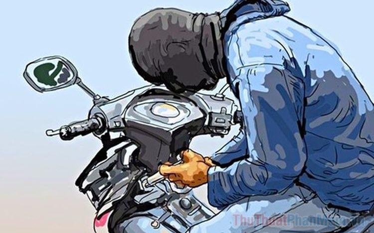 Giải Mã Giấc Mơ Thấy Cây Dây Leo Và Con Số May Mắn