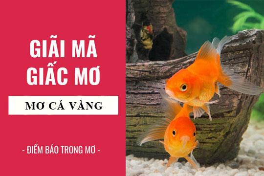 Nằm Mơ Nước Tràn Vào Nhà Đánh Số May