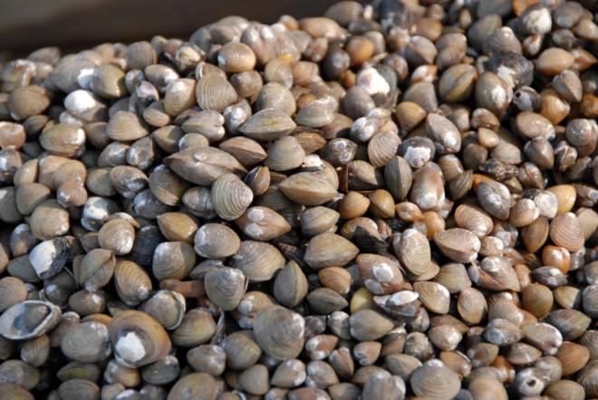 Nằm Mơ Thấy Mình Trả Tiền Cho Người Khác Đánh Con Gì?