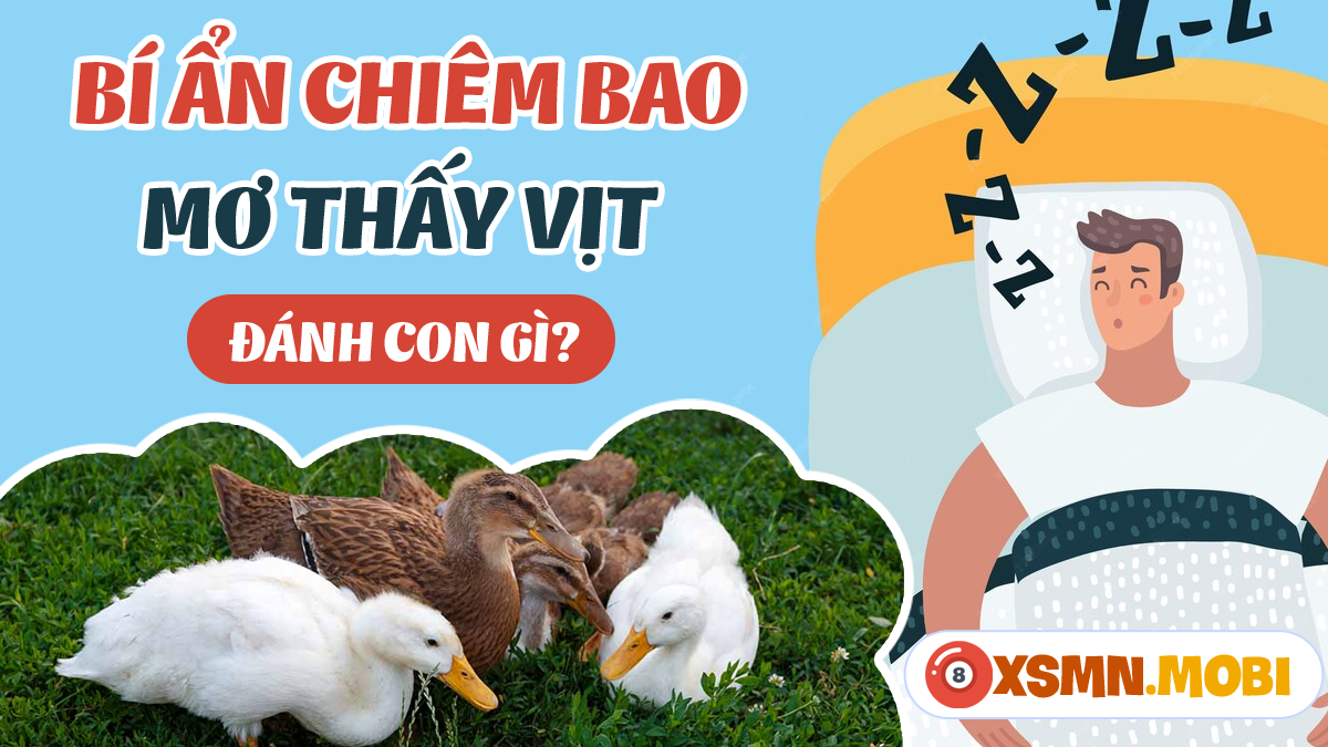 Mơ thấy bắt được vịt con