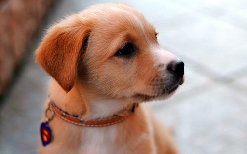 Giải Mã Giấc Mơ Thấy Hủ Cốt và Con Số May Mắn