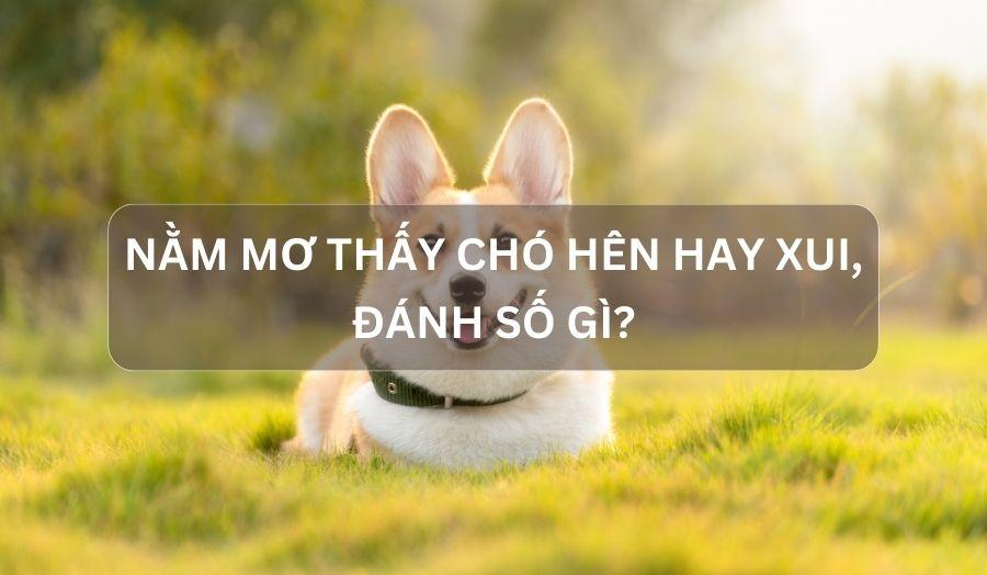 Nằm Mơ Thấy Câu Được Cá To: Điềm Báo Gì Về Số Đề?