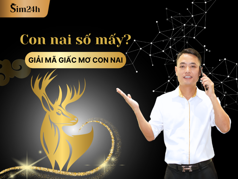 Mơ thấy con nai vàng mang điềm báo gì?