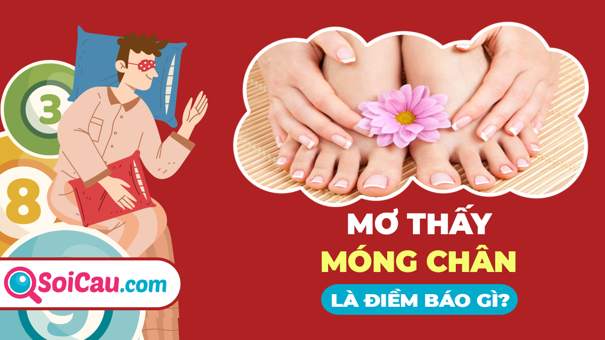 Giải Mã Giấc Mơ Thấy Mèo Mù và Số Đề Liên Quan
