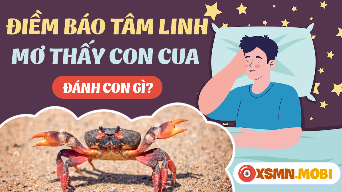 Mơ Thấy Ghẹ Bò Vào Nhà