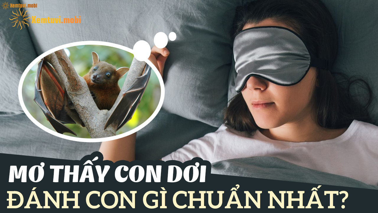 Nằm Mơ Thấy Giết Rắn Đánh Số May