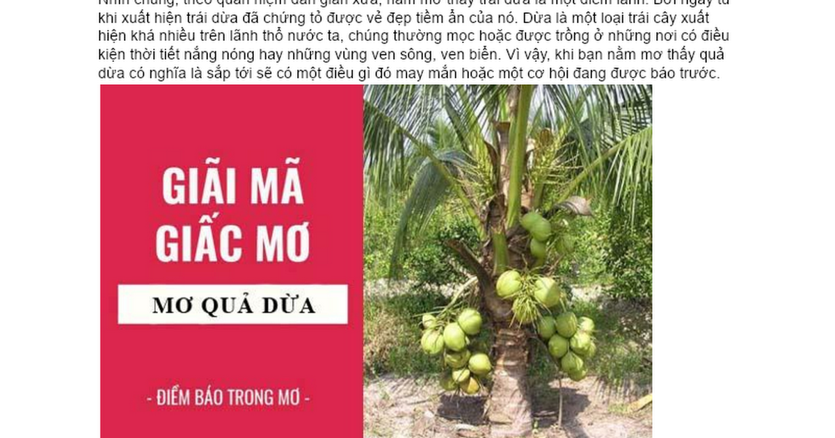 Giải Mã Giấc Mơ Thấy Kiến Đỏ Và Những Con Số May Mắn