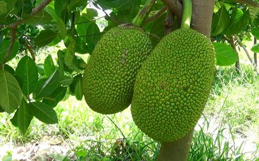 Nằm Mơ Thấy Mình Trả Tiền Cho Người Khác Đánh Con Gì?