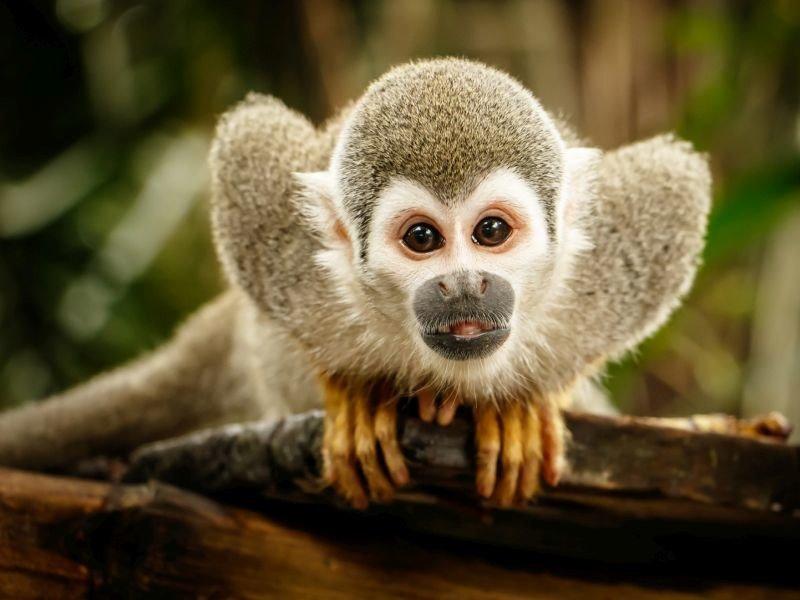 Giải Mã Giấc Mơ Thấy Mình Ăn Và Những Con Số May Mắn