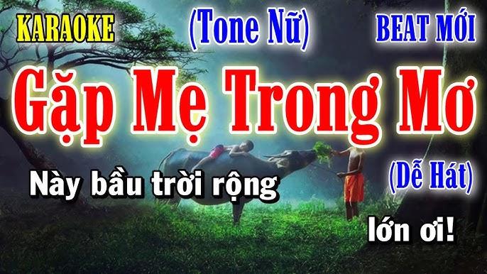 Nằm Mơ Bắt Được Hai Con Cá Lóc: Điềm Báo Gì Về Số Đề?