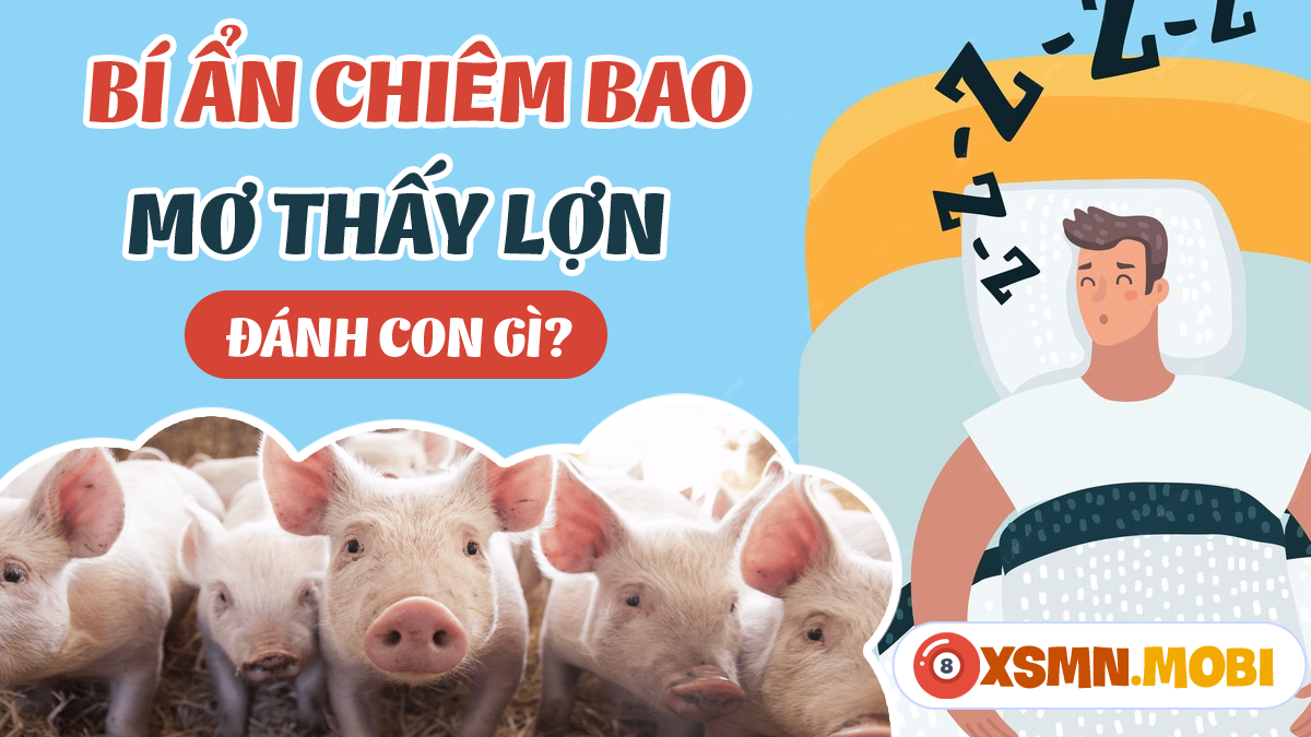 Nằm Mơ Lên Đỉnh Khi Mang Thai: Giải Mã Số Đề
