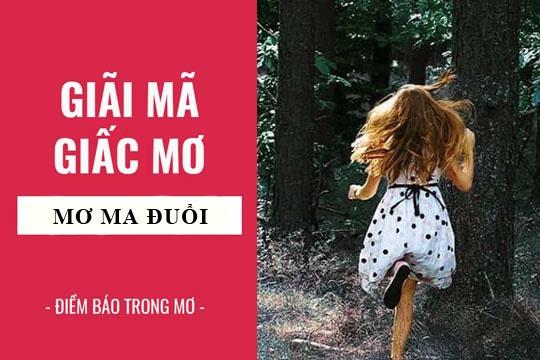 Nằm Mơ Bắt Trộm Gà Đánh Con Gì? Giải Mã Và Số Đề Liên Quan