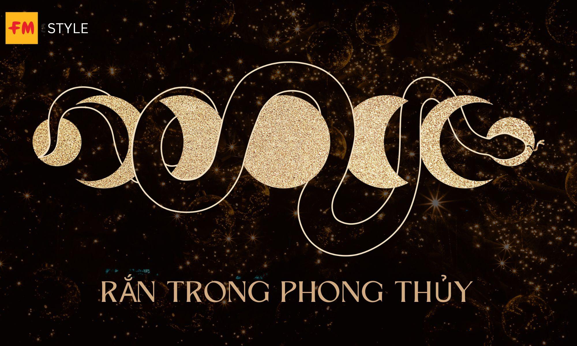 Giải Mã Giấc Mơ Thấy Rắn Hổ Mang Đen và Số Đề Liên Quan