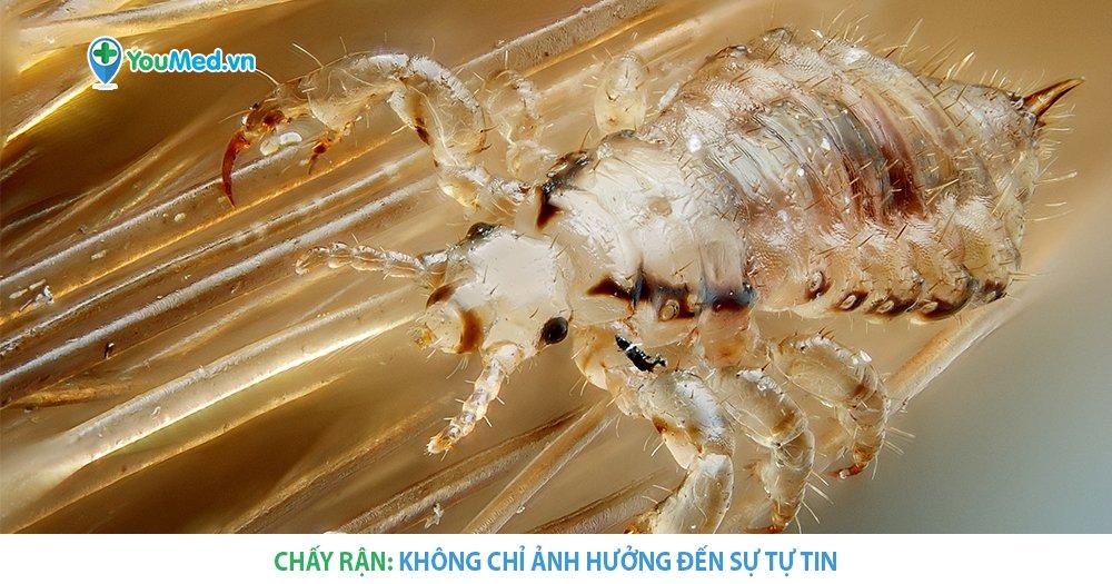 Nằm Mơ Thấy Bàn Thờ Bị Phá: Giải Mã &amp; Số Đề Liên Quan