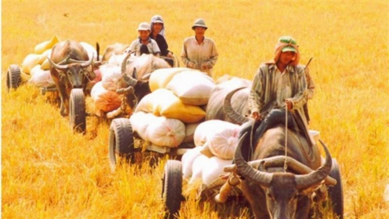Giải Mã Giấc Mơ Thấy Cắm Hoa Và Những Con Số May Mắn
