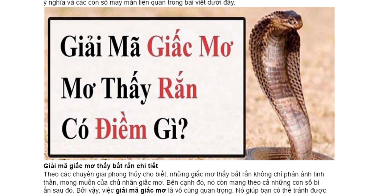Giải Mã Giấc Mơ Thấy Cây Phát Tài Và Số Đề Liên Quan
