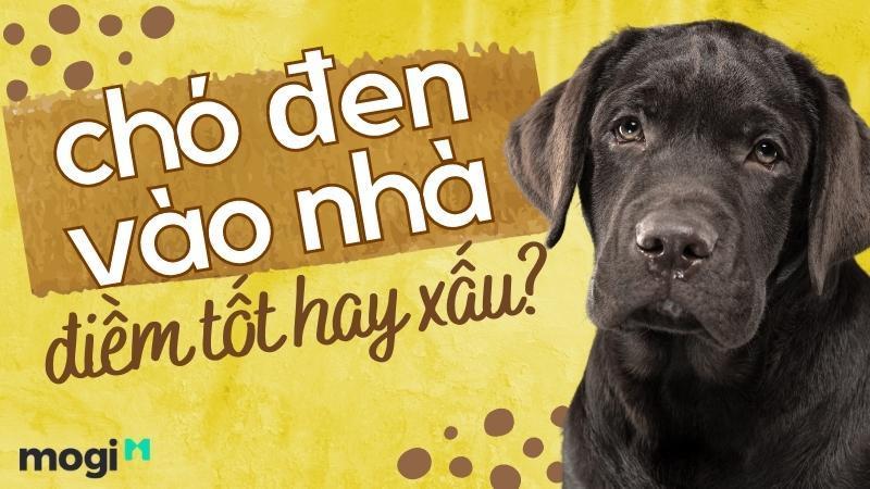 Nằm Mơ Thấy Bắt Cua Đánh Số May