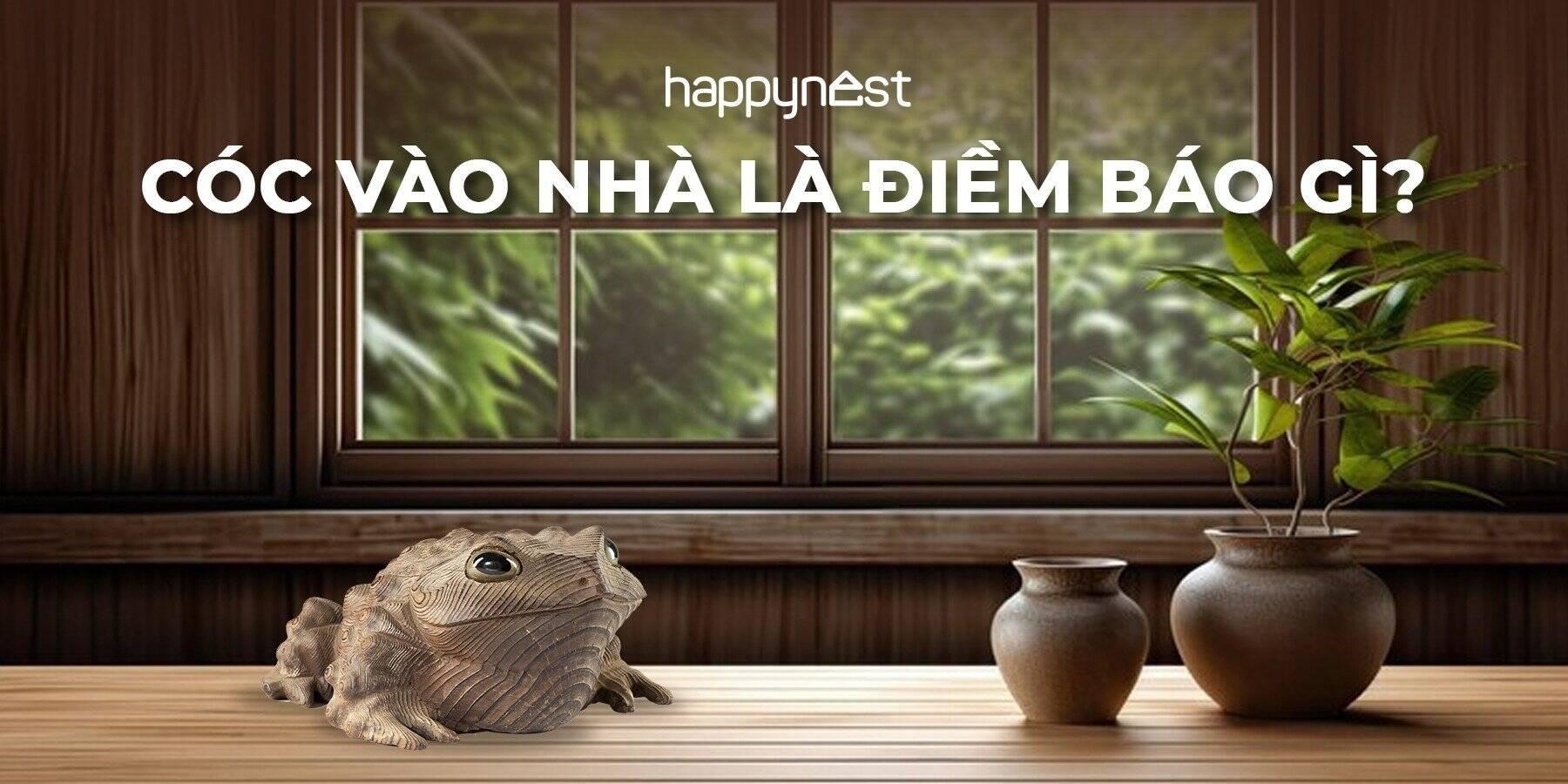 Nằm mơ thấy bắt được cây cóc, điềm báo gì?