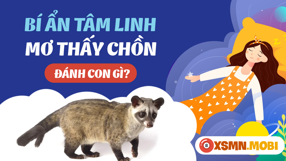 Nằm Mơ Thấy Mình Bị Rụng Tóc Hói Đầu Đánh Con Gì?