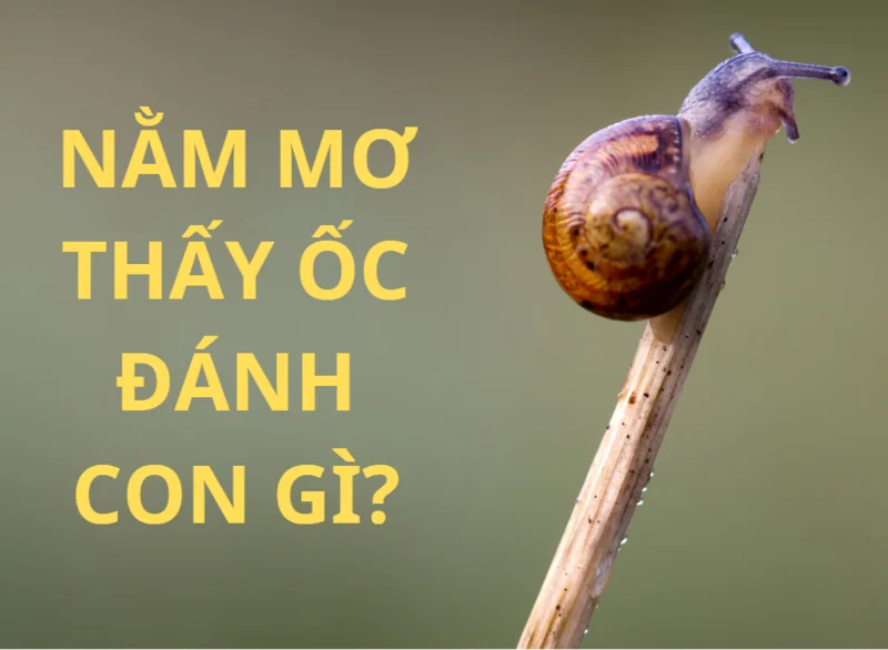 Nằm Mơ Người Thân Trúng Đề Đánh Con Gì?