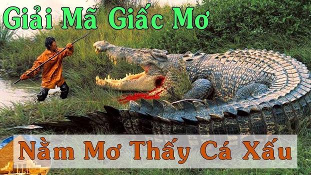 Nằm mơ thấy cá sấu chết đánh số mấy?