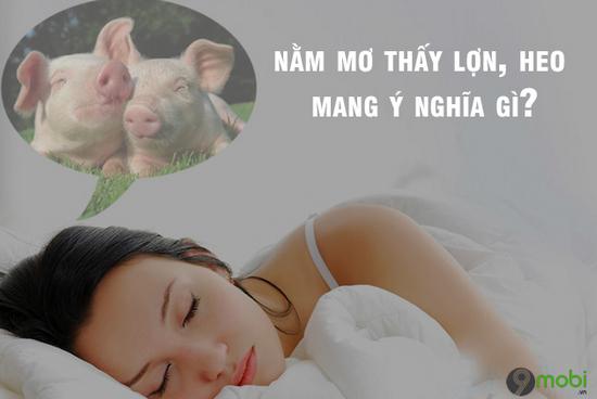 Giải Mã Giấc Mơ Gặp Bác Hồ Và Những Con Số May Mắn