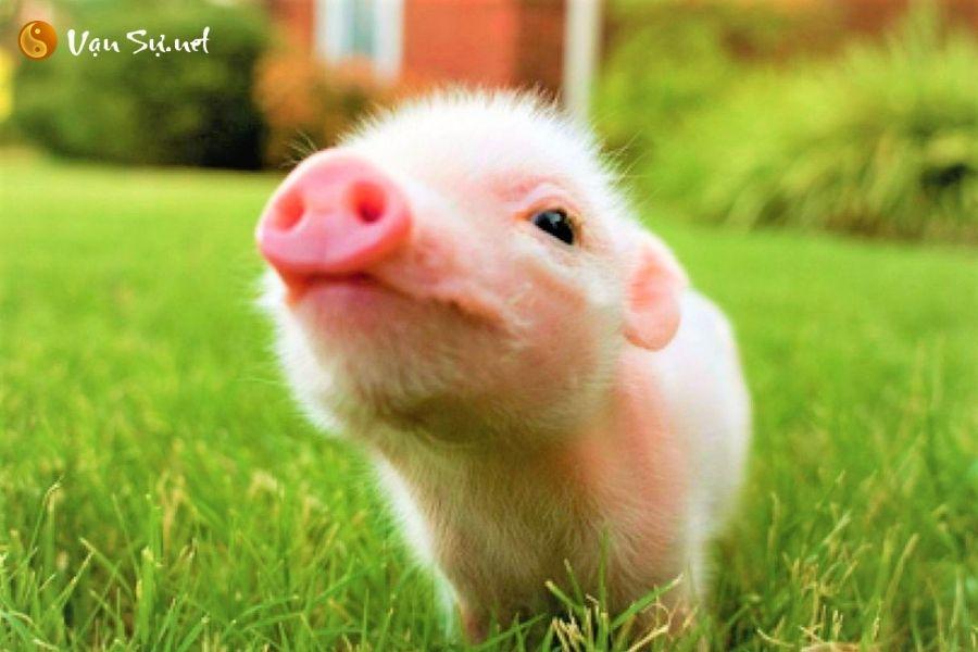 Giải Mã Giấc Mơ Gặp Bác Hồ Và Những Con Số May Mắn