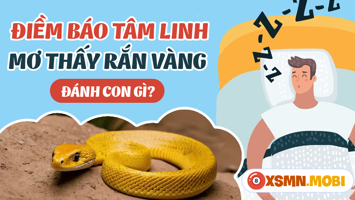 Giải Mã Giấc Mơ Thấy Dây Chuyền Vàng Bị Đứt