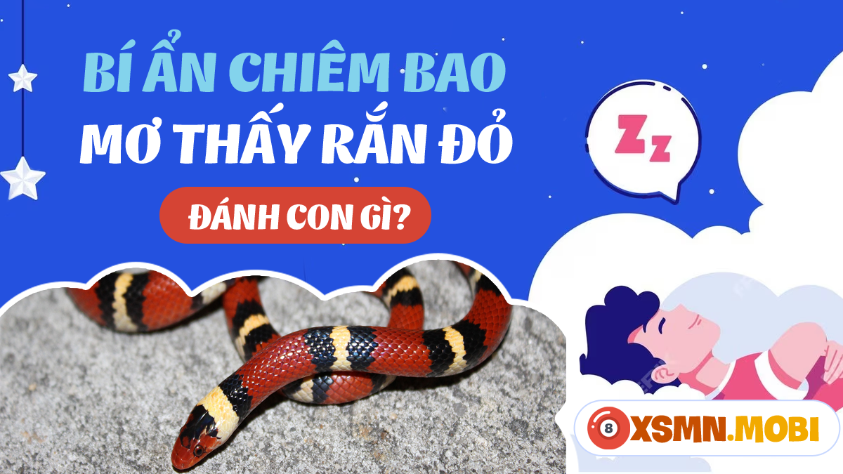 Giải Mã Giấc Mơ Thấy Rắn Đen Đuổi Và Những Con Số May Mắn