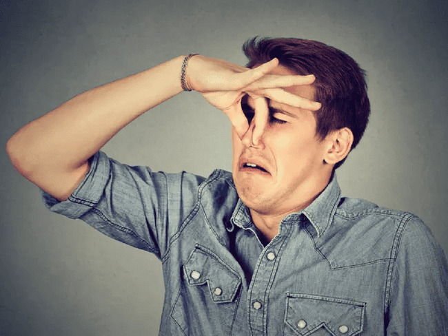 Giải Mã Giấc Mơ Thấy Rắn Khổng Lồ Màu Trắng Và Con Số May Mắn