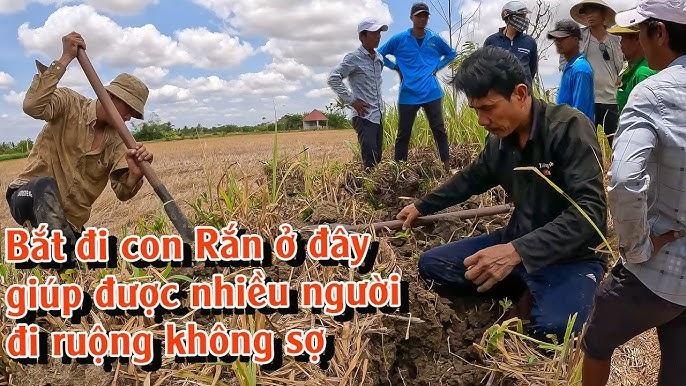 Giải Mã Giấc Mơ Thấy Con Giun Sán Và Những Con Số Liên Quan