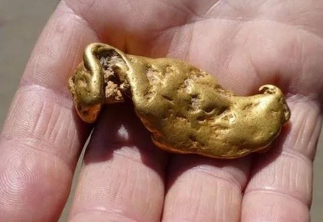 Giải Mã Giấc Mơ Thấy Ret: Điềm Báo Gì Về Số Đề?