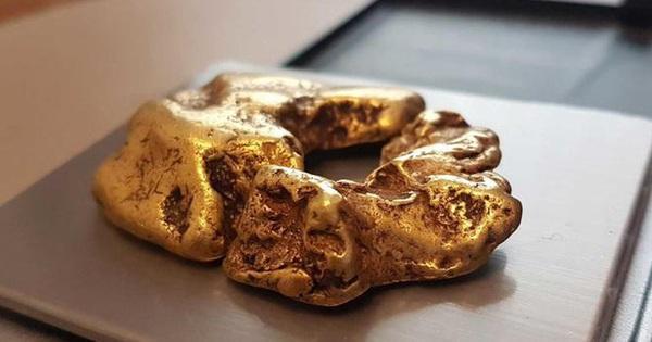 Nằm Mơ Thấy Câu Được Cá To: Điềm Báo Gì Về Số Đề?