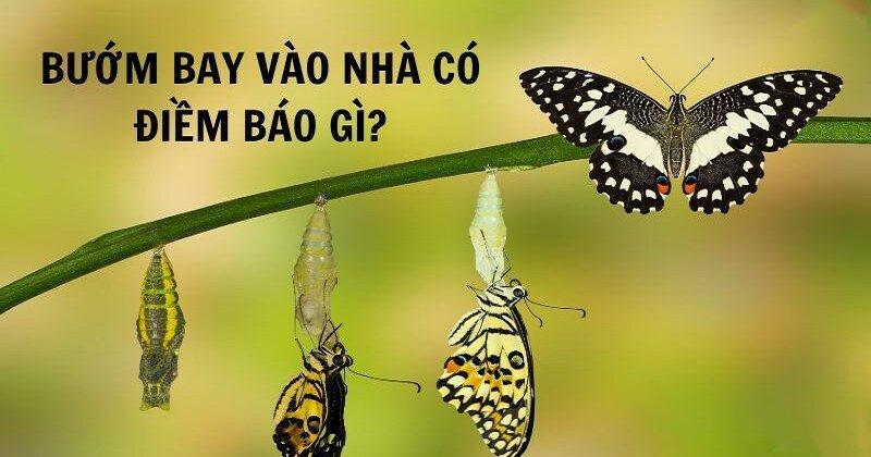 Giải Mã Giấc Mơ Thấy Chú Ruột Và Những Con Số Liên Quan