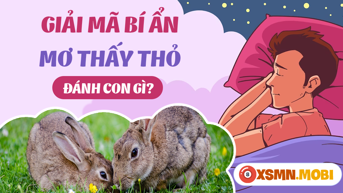 Nằm Mơ Thấy Câu Được Cá To: Điềm Báo Gì Về Số Đề?