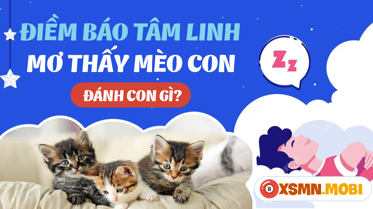 Giải Mã Giấc Mơ Thấy Rắn Vàng Đen